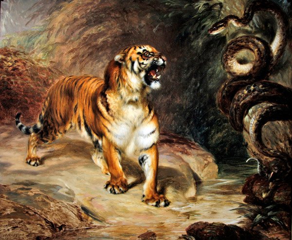 Tigre et python - William Huggins