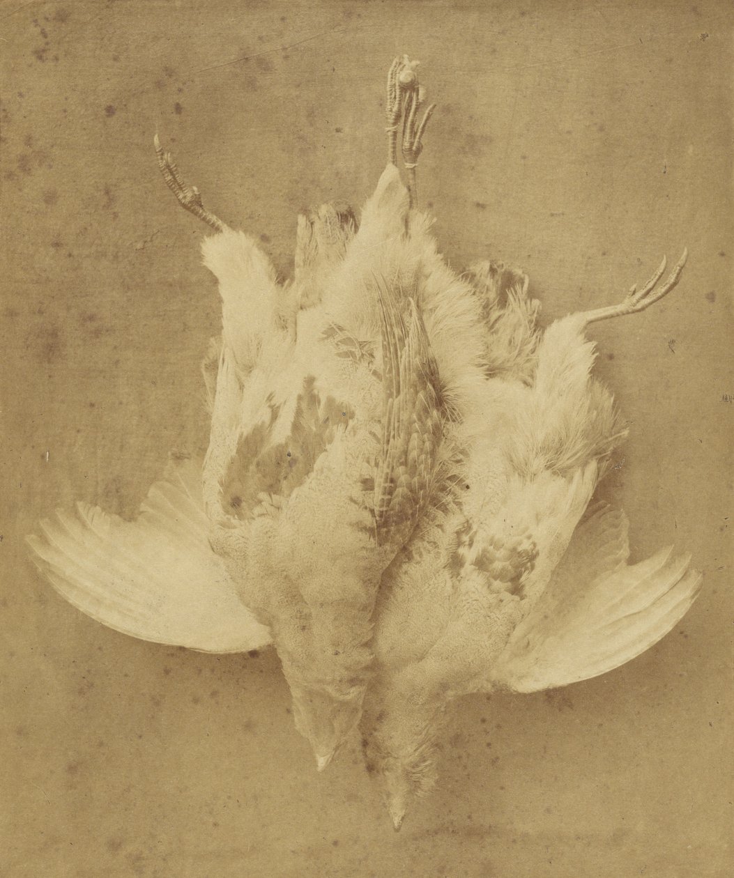 Le premier septembre - William Lake Price