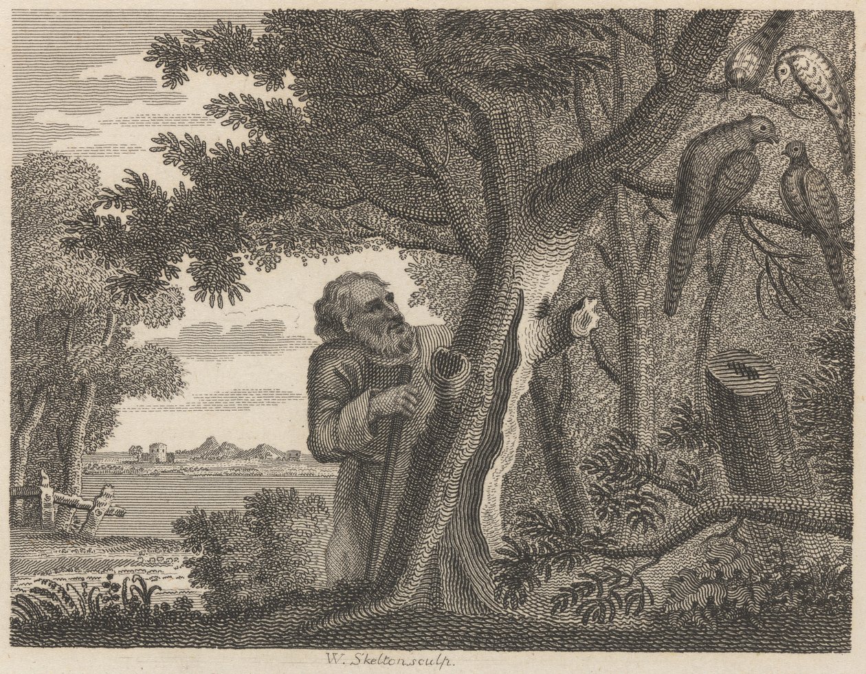 Le philosophe et les faisans - William Skelton