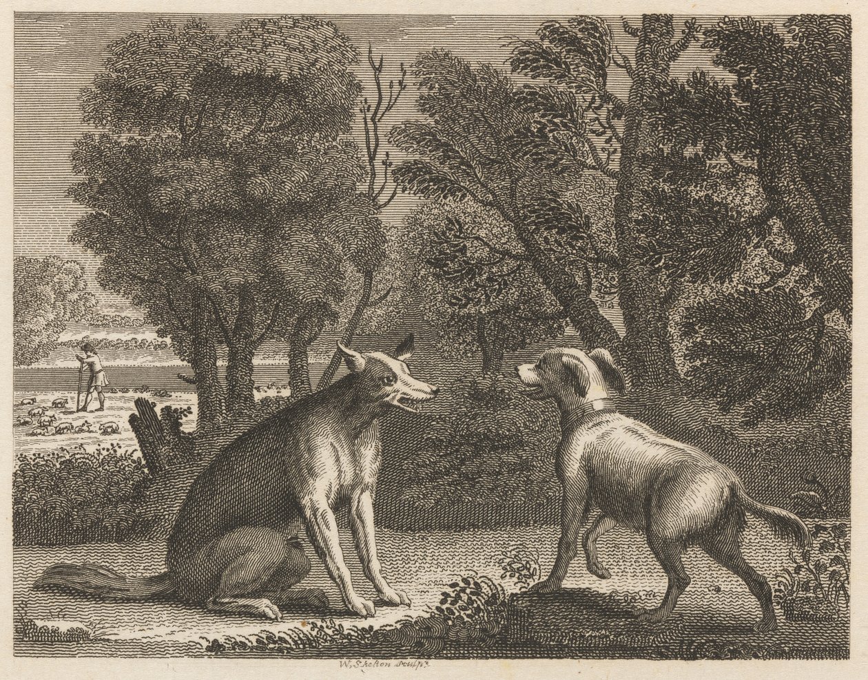 Le Chien du Berger et le Loup - William Skelton