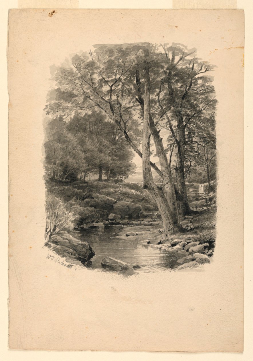 Piscine dans les bois - William Trost Richards