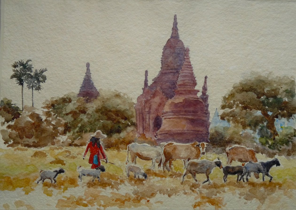 901 Bagan, troupeau parmi les temples - Wilson Clive