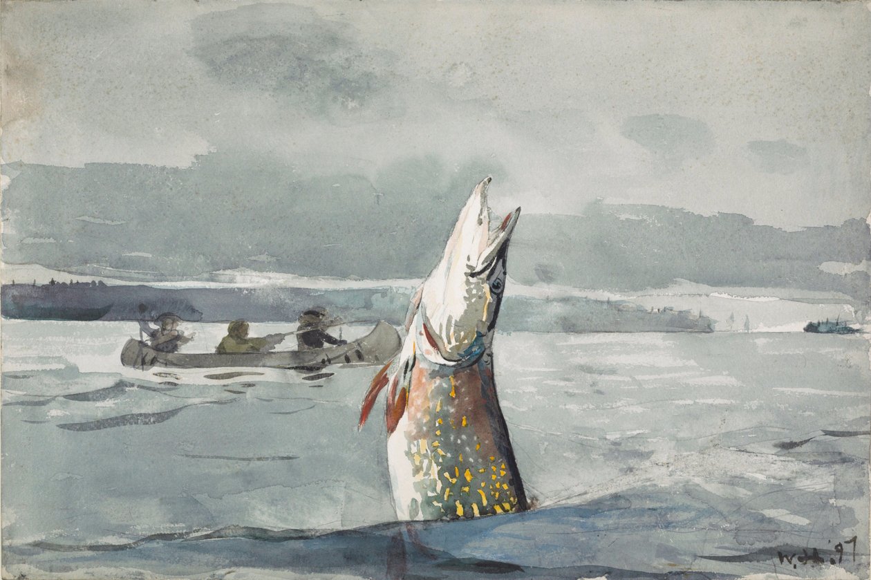 Lac Saint-Jean - Winslow Homer