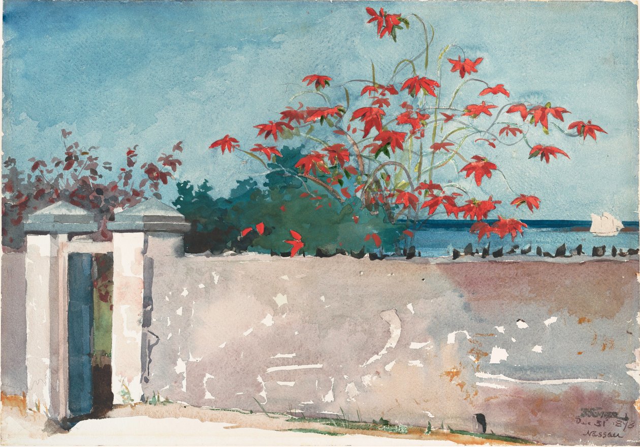 Un mur, Nassau - Winslow Homer