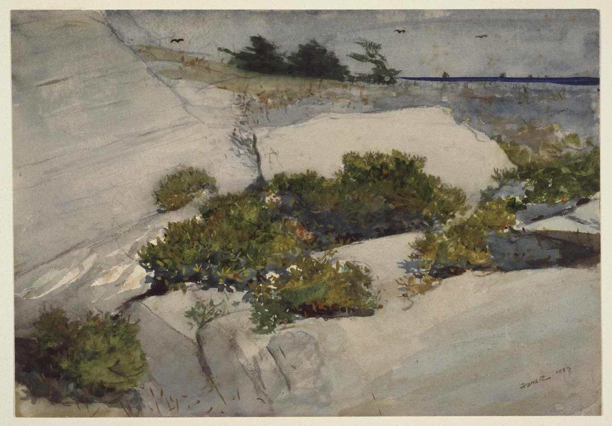 Falaises du Maine - Winslow Homer