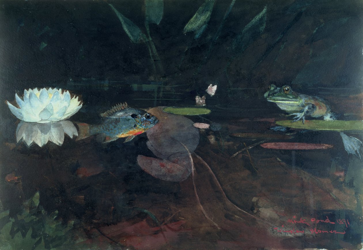 Étang de Vison - Winslow Homer
