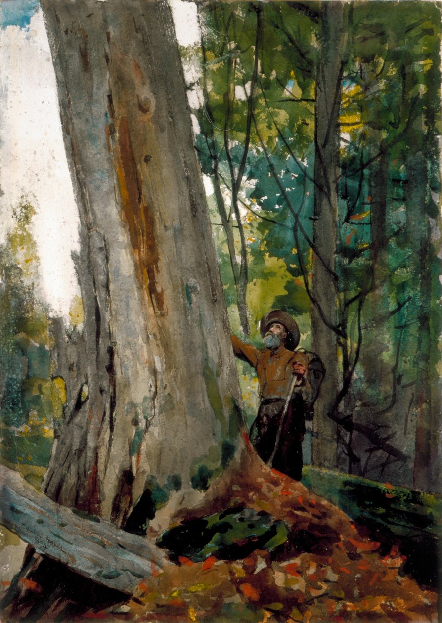 Vieux amis, 1894 - Winslow Homer