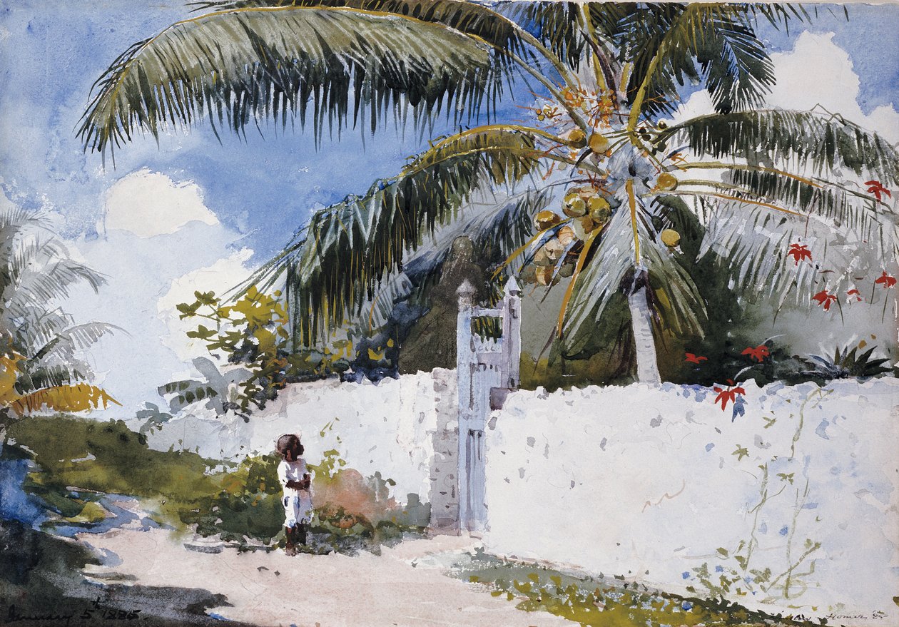Un jardin à Nassau, 1885 - Winslow Homer
