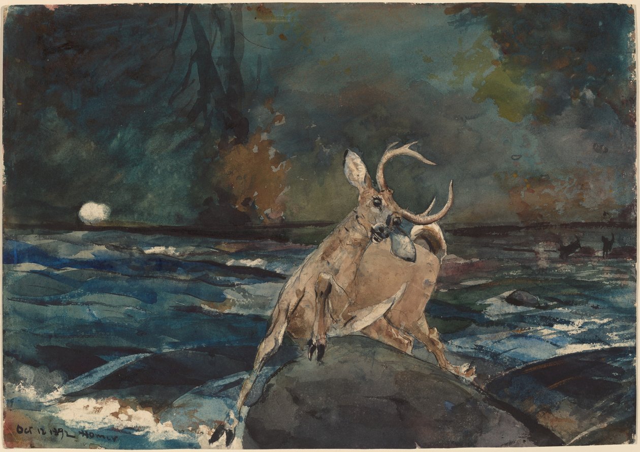 Un bon coup, Adirondacks, 1892 - Winslow Homer