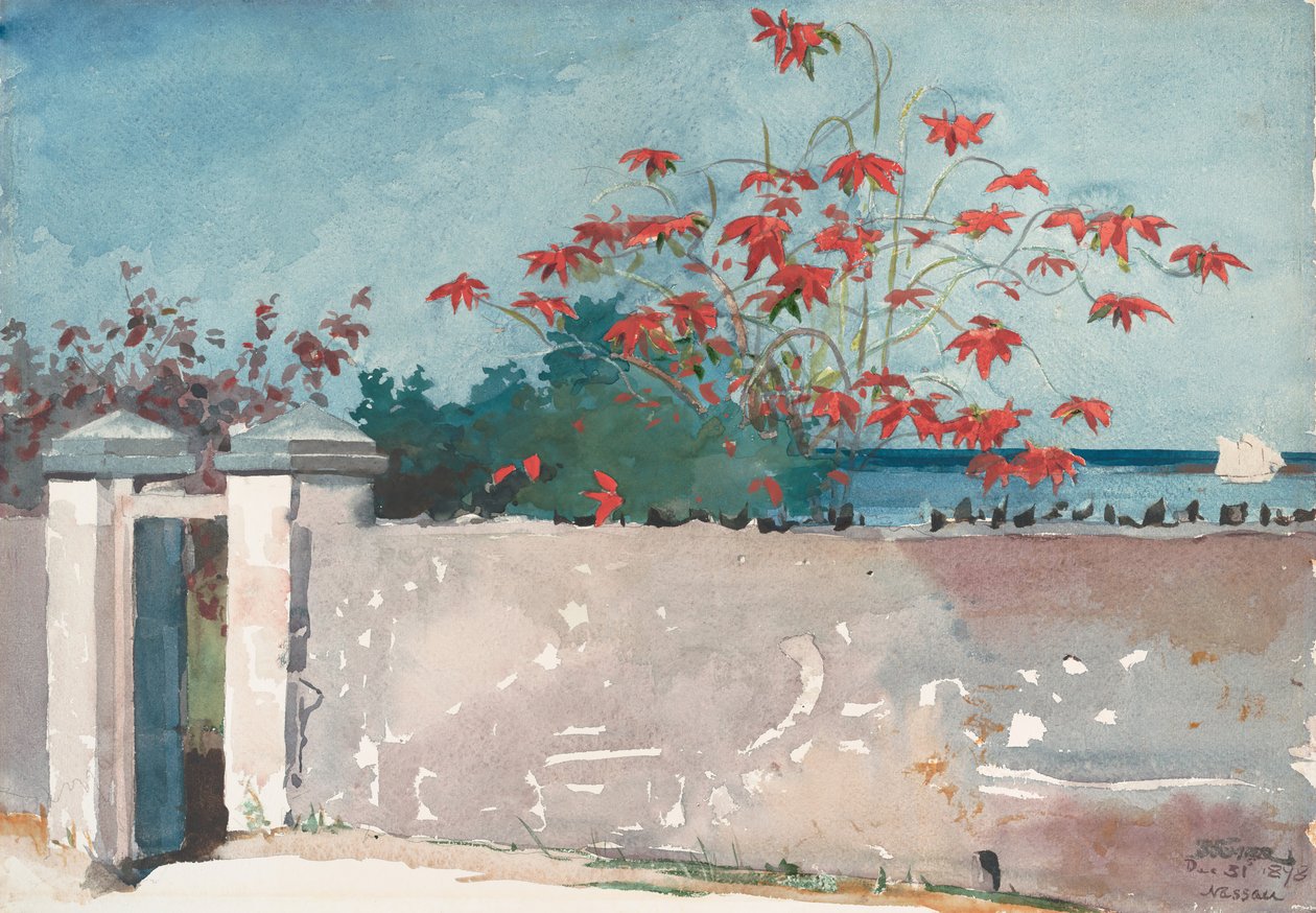 Un mur, Nassau, 1898 - Winslow Homer