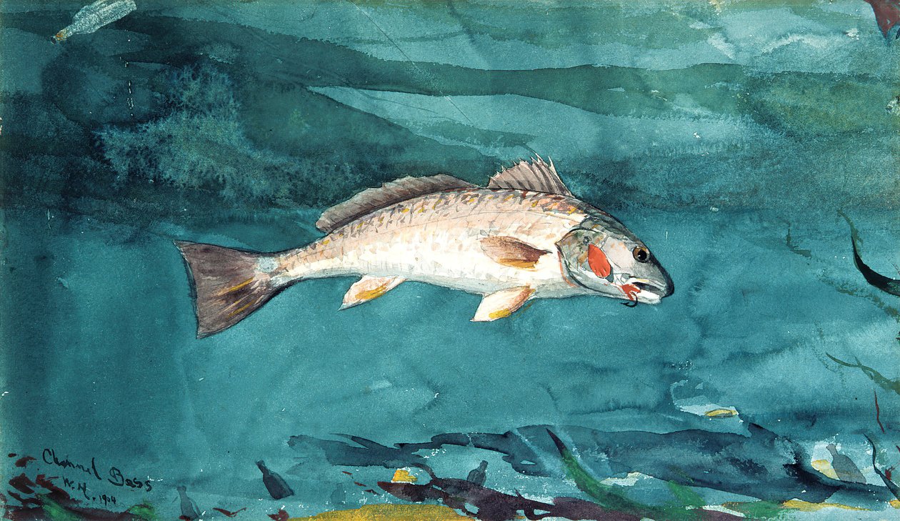 Bar de canal, 1904 - Winslow Homer