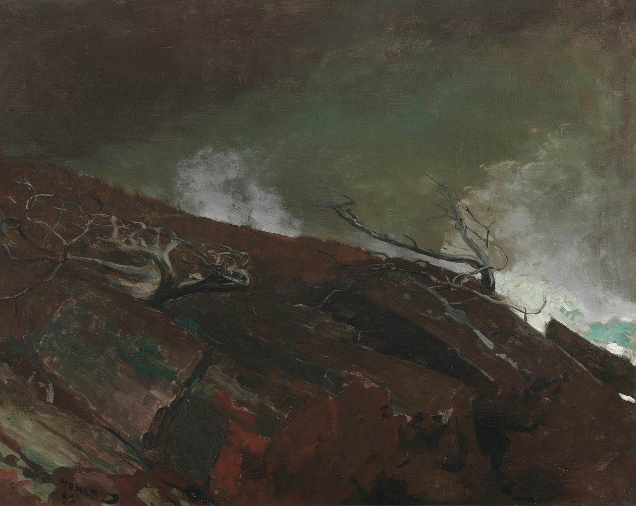 Côte du Maine - Winslow Homer