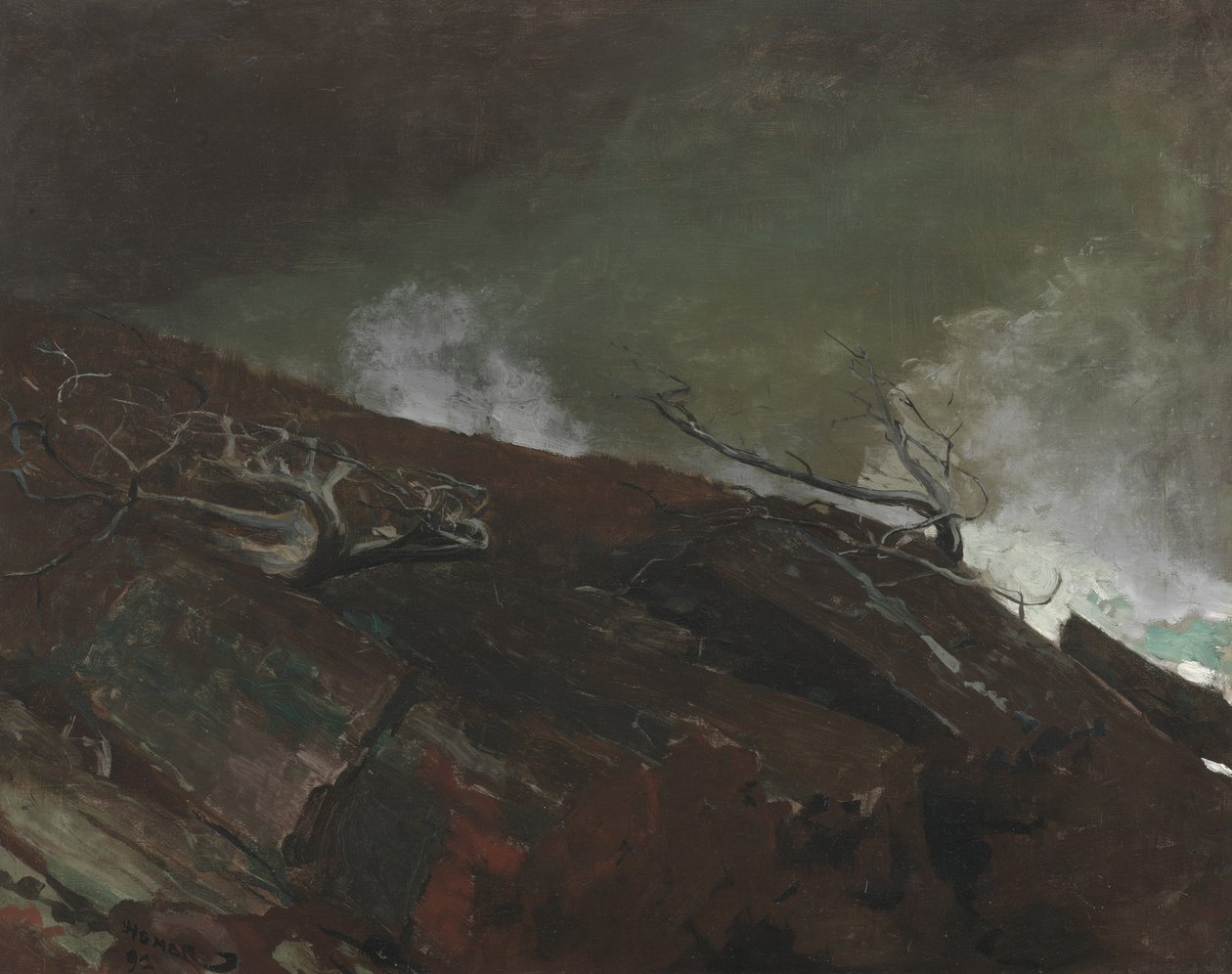 Côte du Maine - Winslow Homer