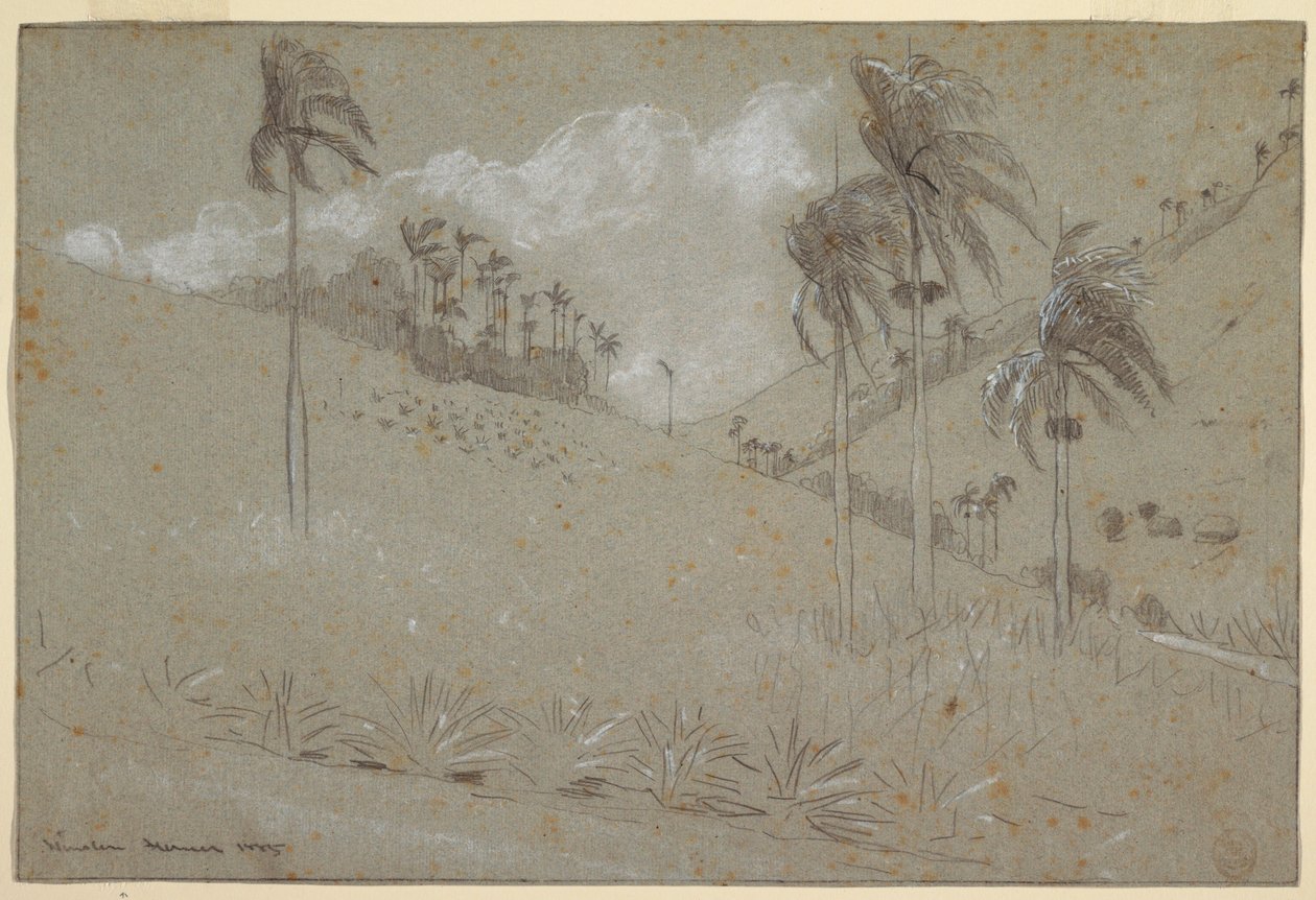 Dessin, colline cubaine, 1885 - Winslow Homer
