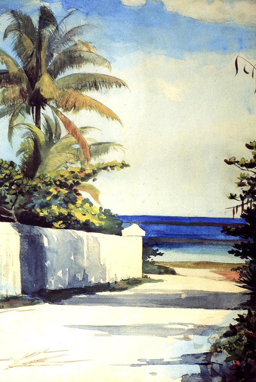 Route à Nassau, 1898-99 - Winslow Homer