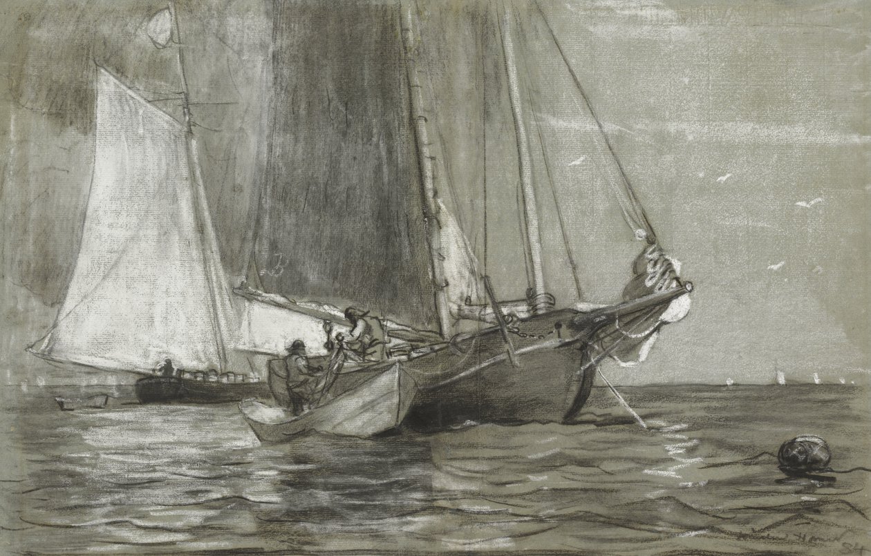 Goélette à l