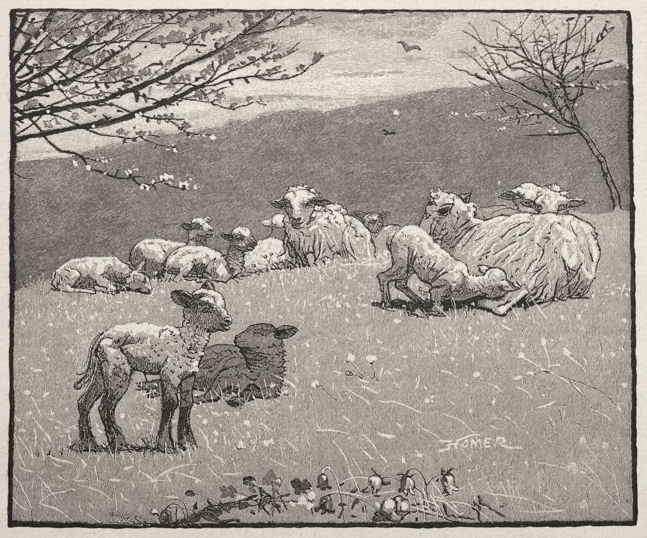 Agneau de printemps - Winslow Homer