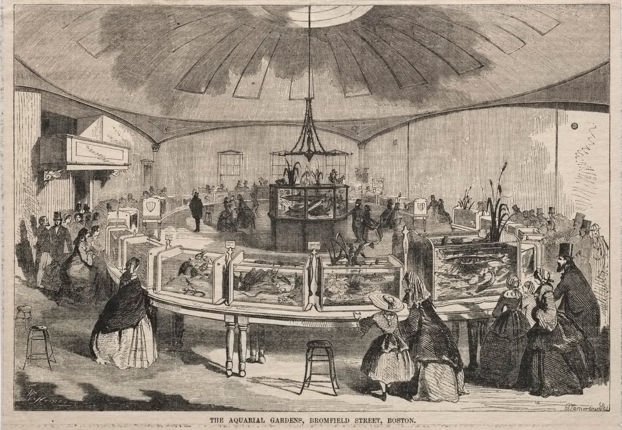 The Aquarial Gardens, Bromfield Street, Boston - Winslow Homer