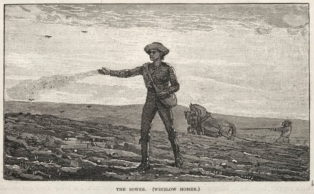 Le semeur - Winslow Homer