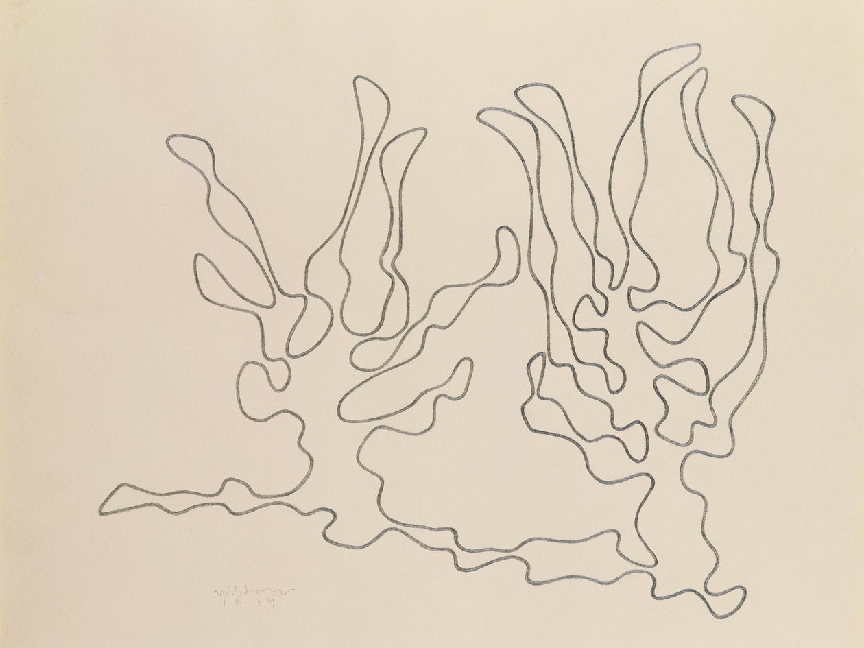 Bialorus Zachodnia-Drzewa - Wladyslaw Strzeminski