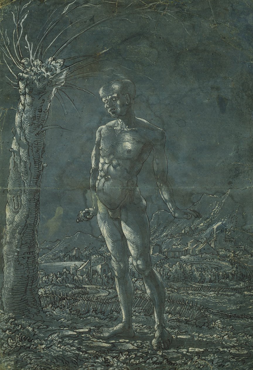 Homme nu debout dans un paysage, c.1512 - Wolf Huber