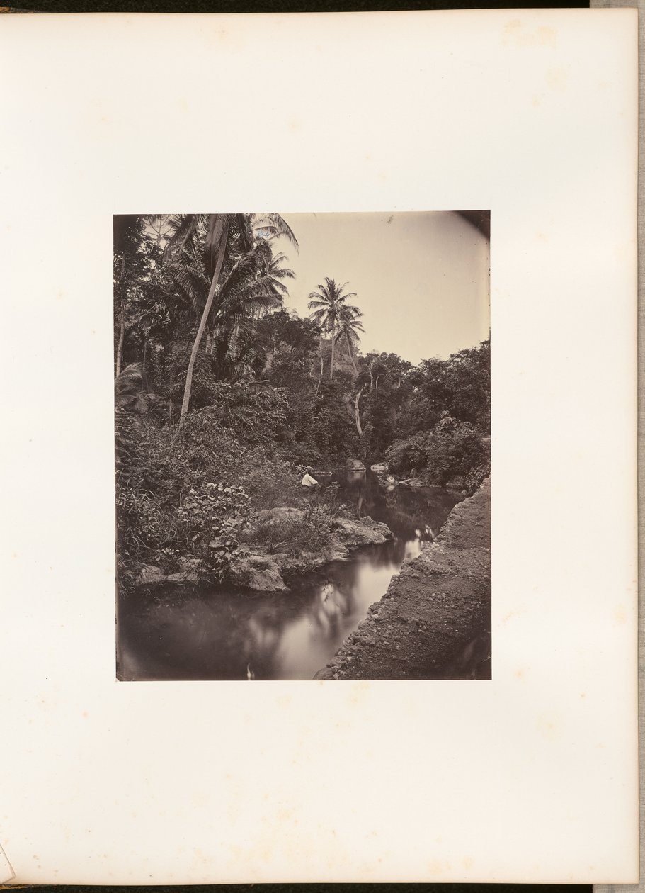 [Rivière à Kupang] - Woodbury and Page