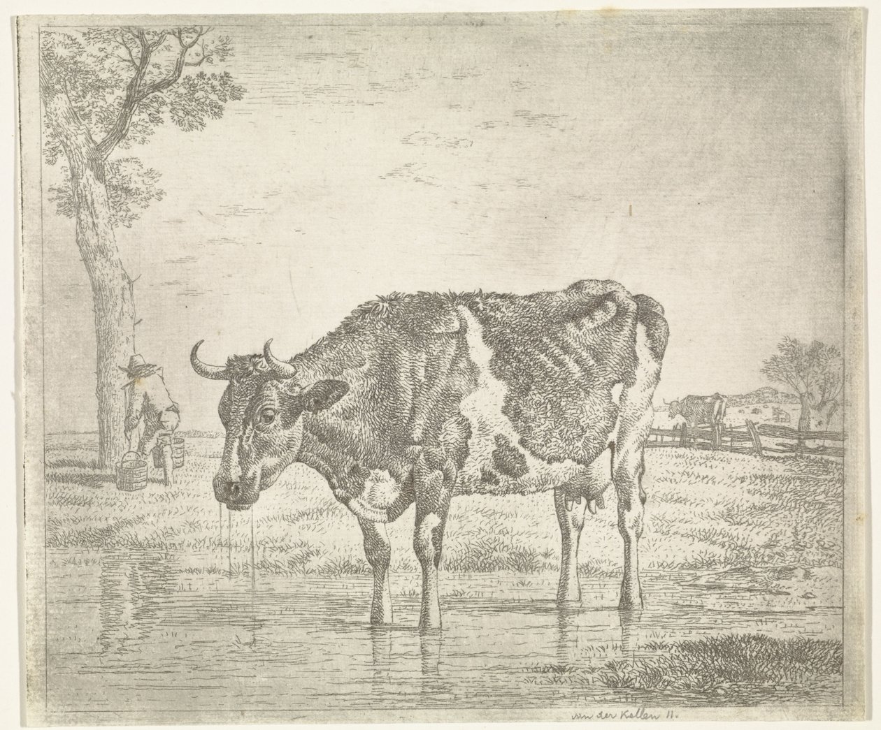 Vache buvant - Wouter Johannes van Troostwijk