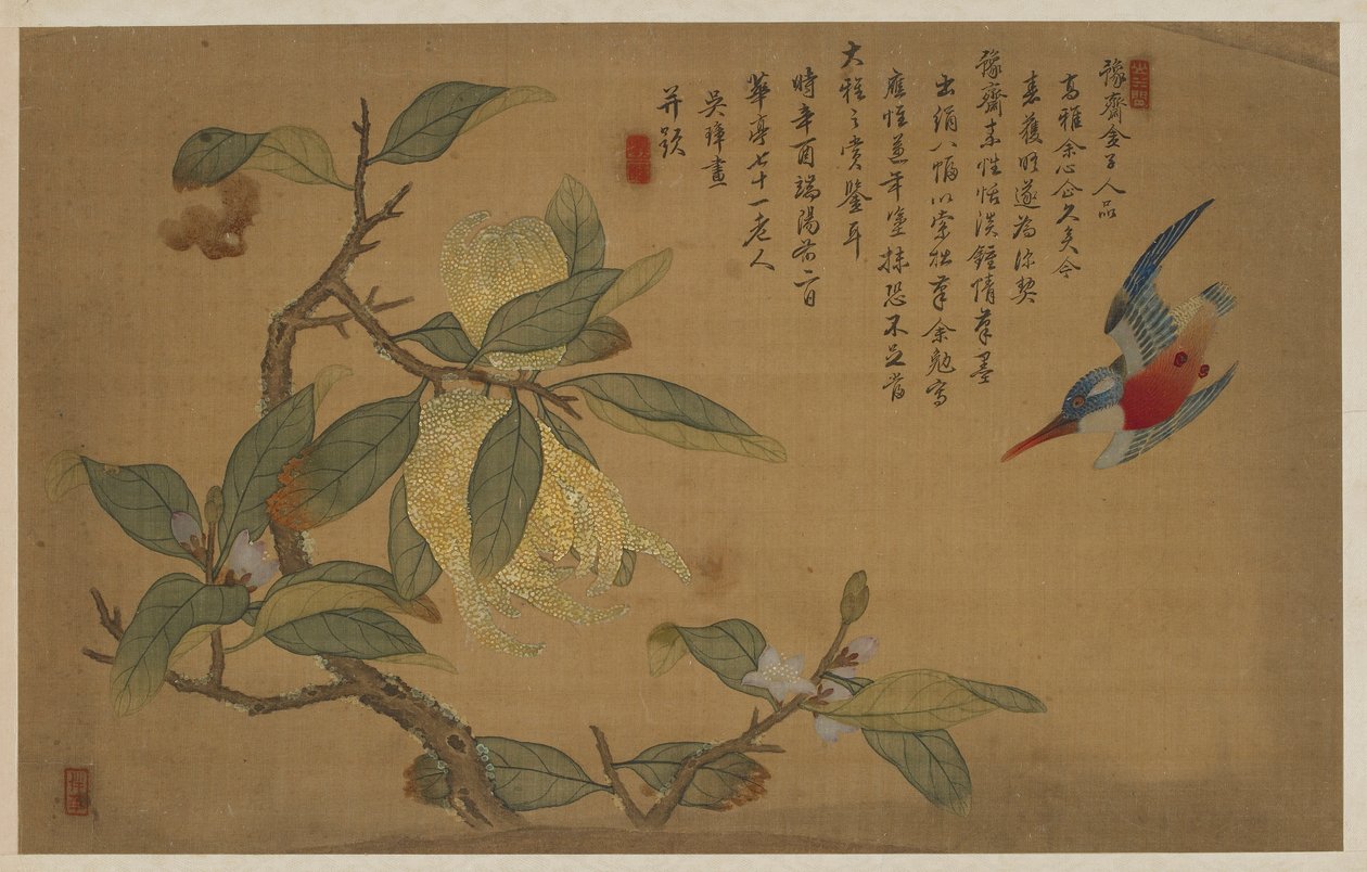 Oiseau, Fruit et Fleurs - Wu Zhang