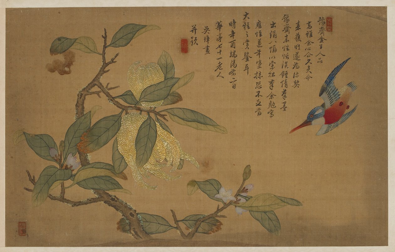 Oiseau, fruit et fleurs, dynastie Qing, 1741 - Wu Zhang