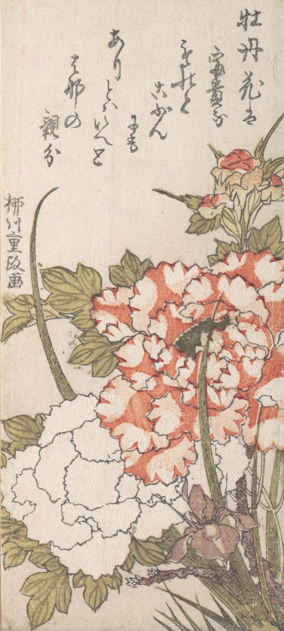 Pivoines et iris - Yanagawa Shigemasa