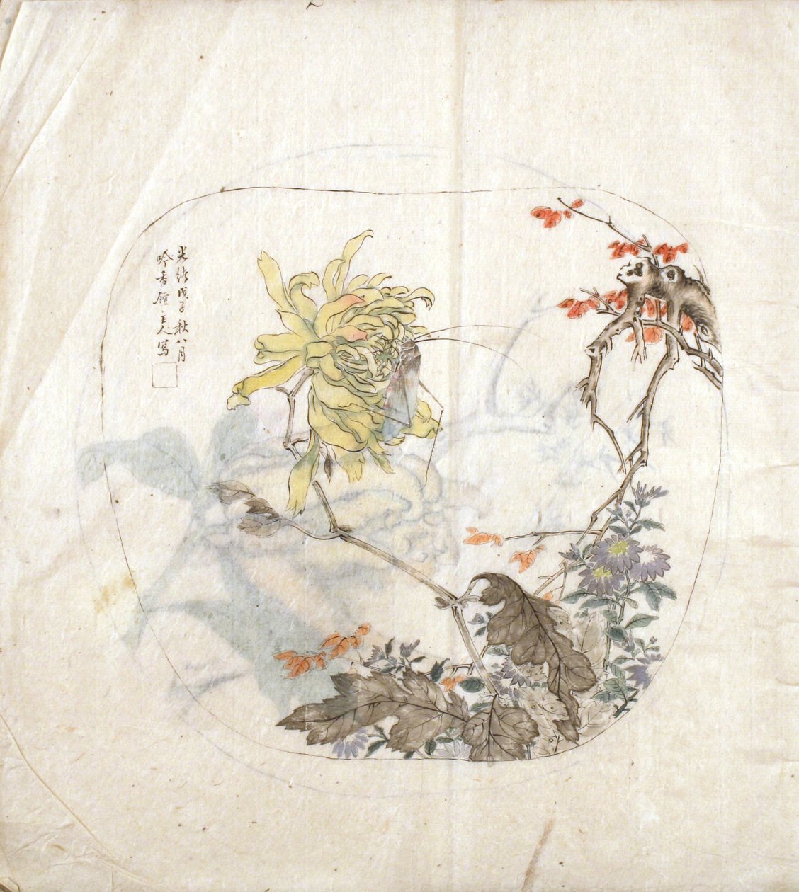 Esquisse de chrysanthèmes - Yang Shichao