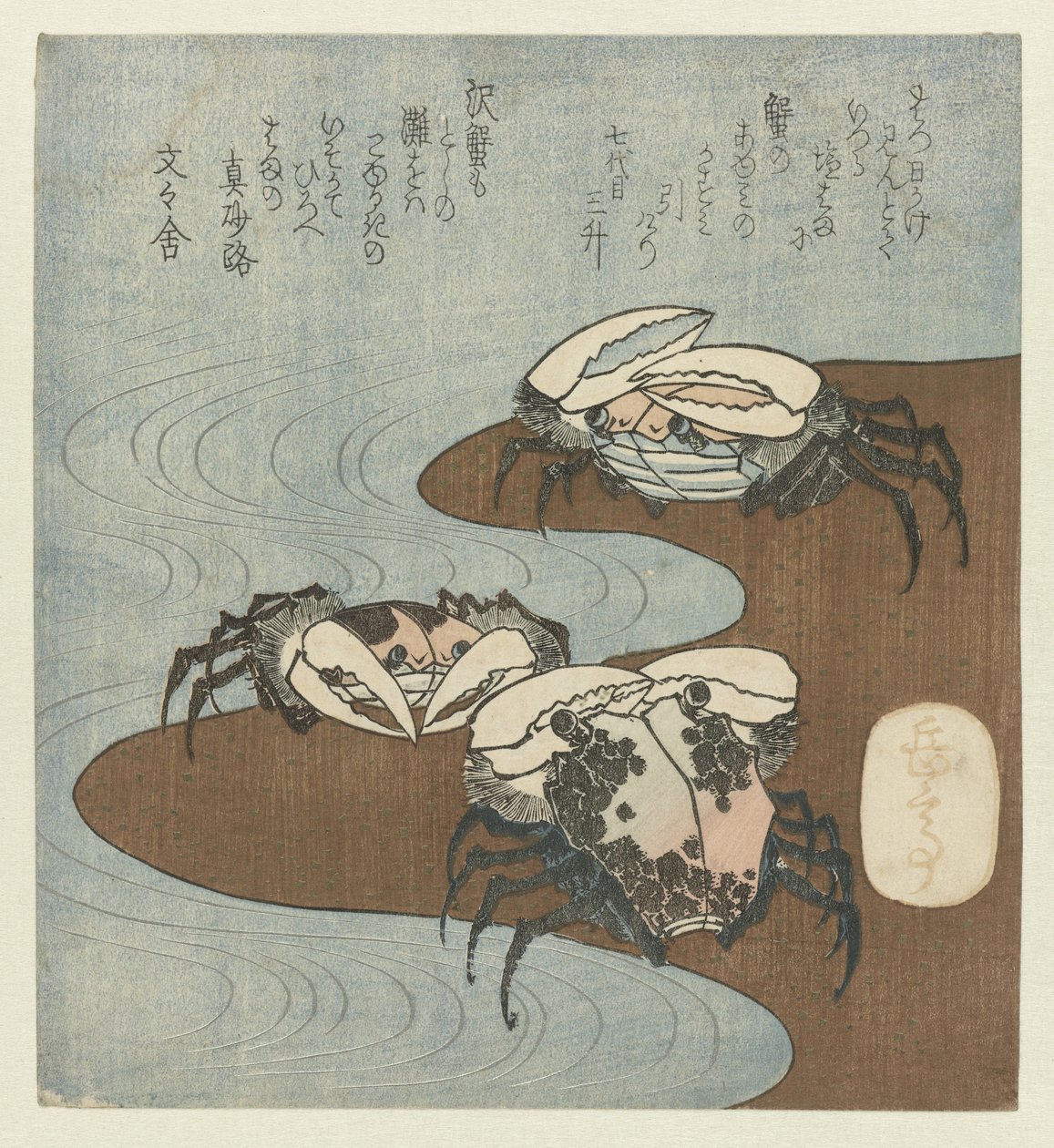 Crabes au bord de l