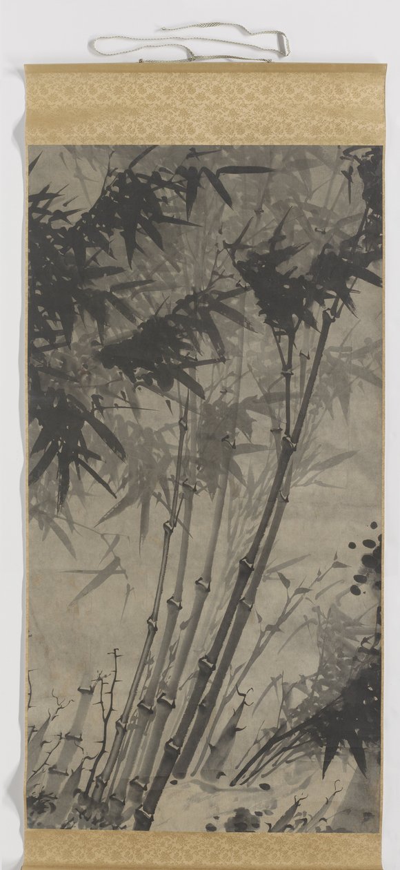 Bambou - Zhengxing (bijnaam Wuzhai)