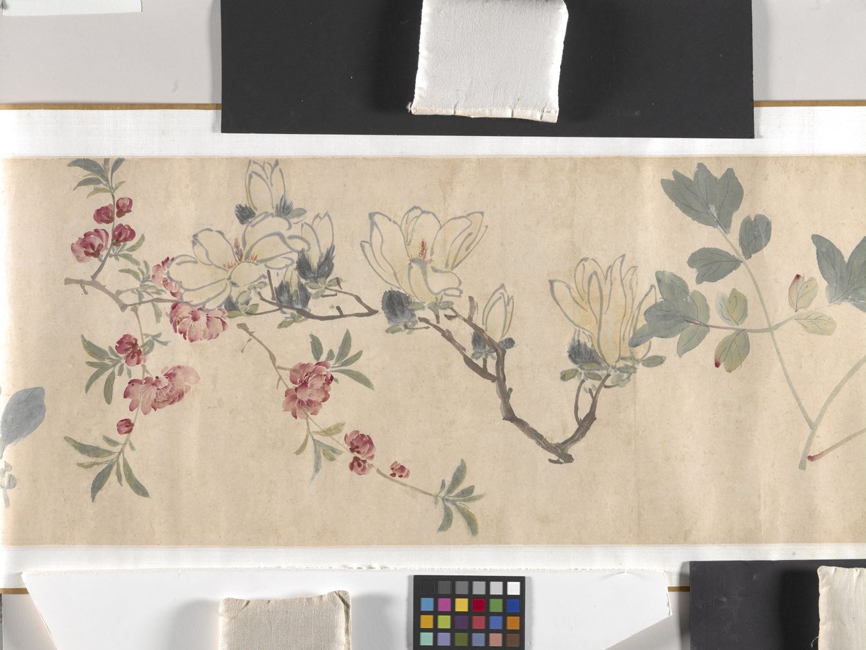 Fleurs colorées - Zhimian Zhou
