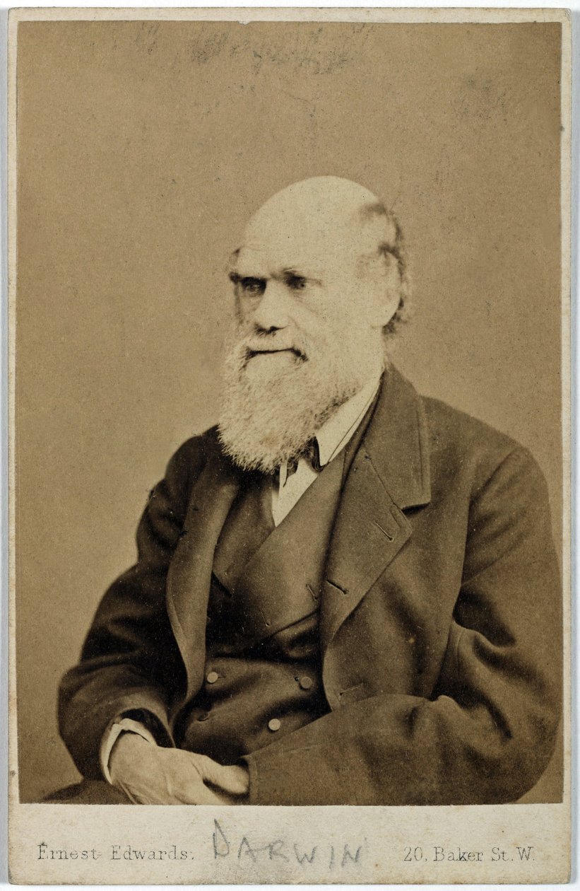 Charles Darwin, naturaliste anglais, vers 1870 - Ferdinand Georg Waldmuller