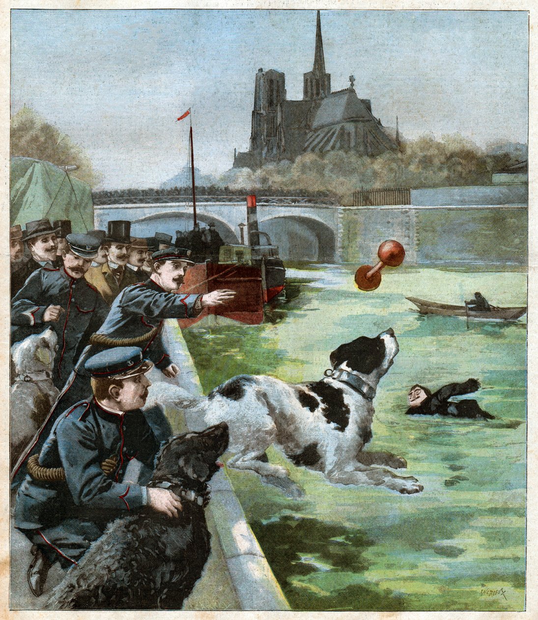 Chien sauveteur - John Pardon