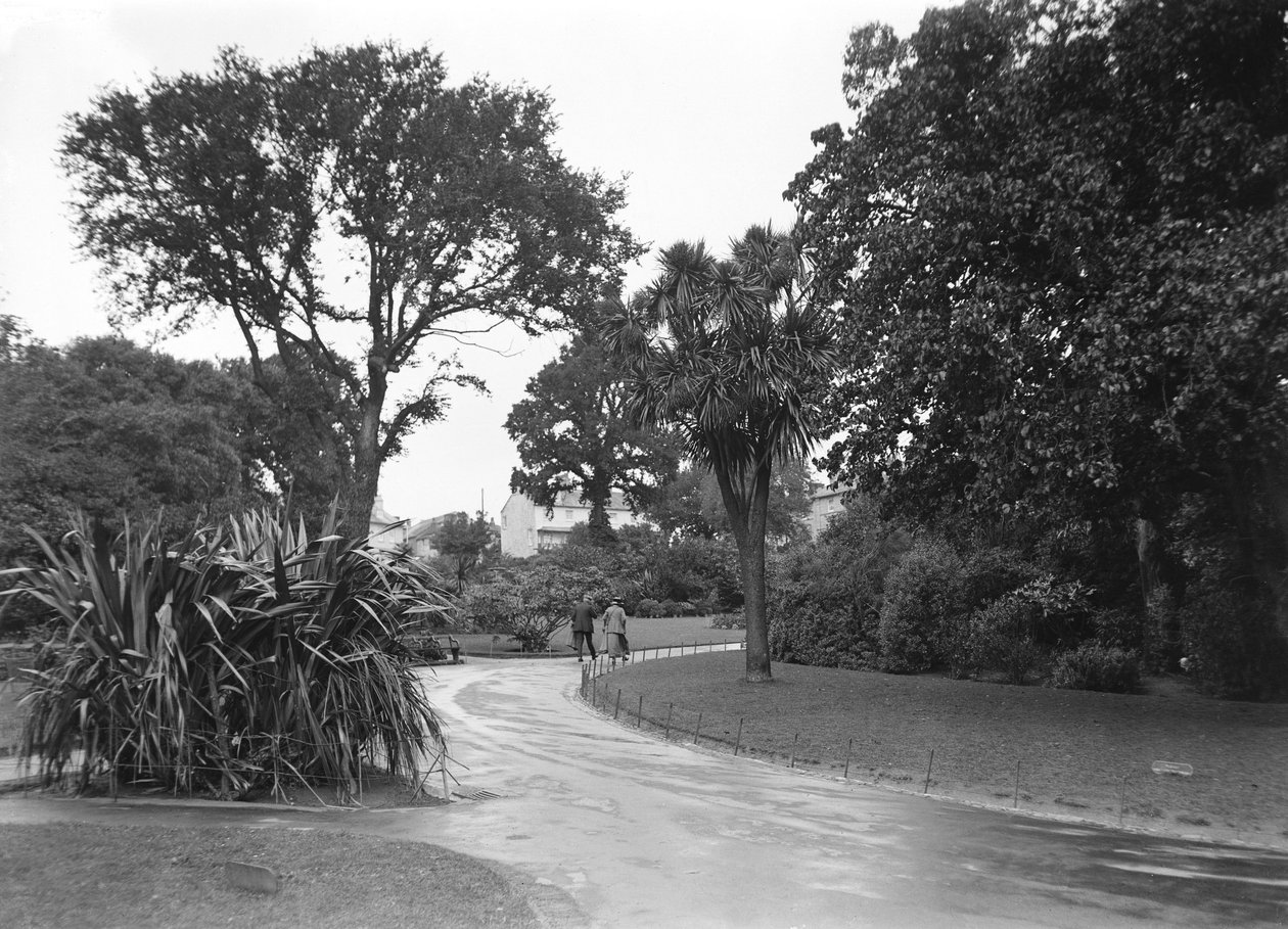 Jardins à Penzance, Cornwall - John Pardon
