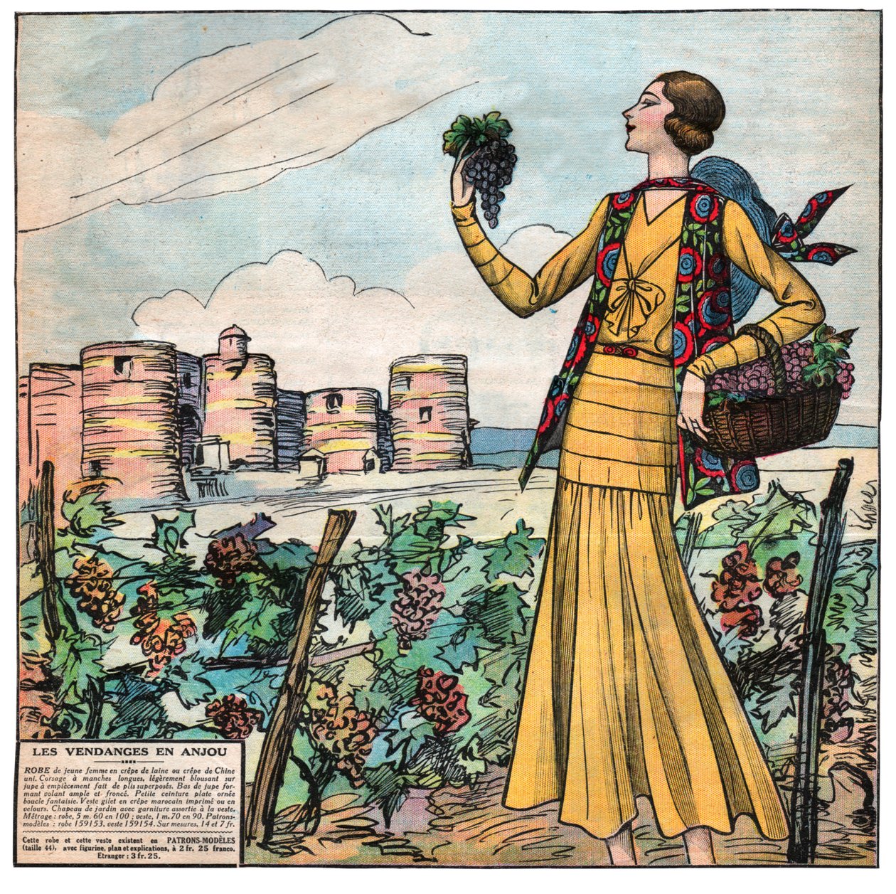 Vendanges en France - . .
