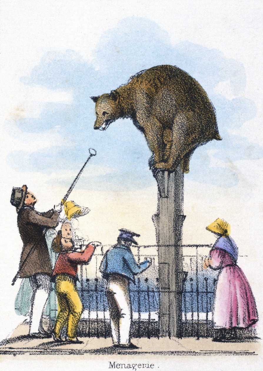 Ménagerie - Frederick (attr. to) Barnard