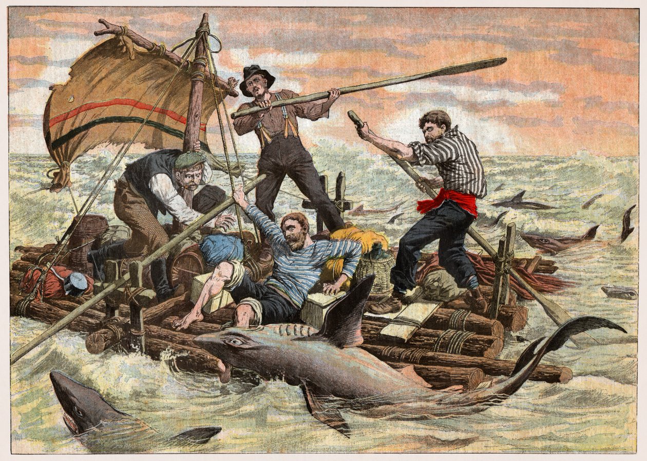 Attaque de requins - . .