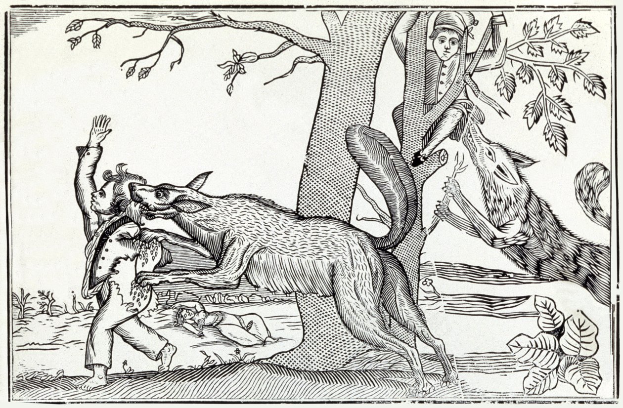 Le loup vers 1820 (gravure) - . .
