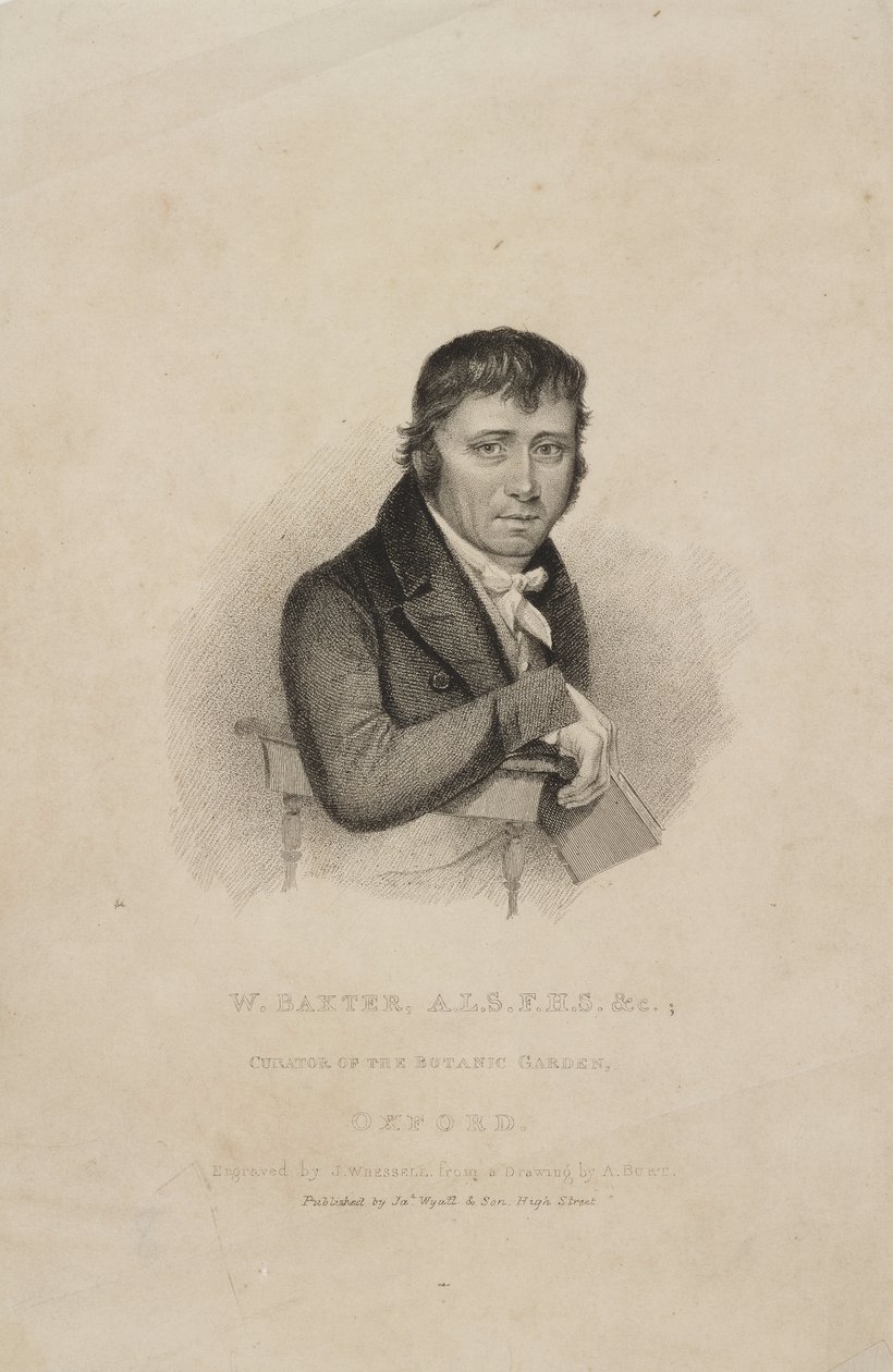 William Baxter, ALS FHS, botaniste britannique, vers 1820 - Frederick (attr. to) Barnard