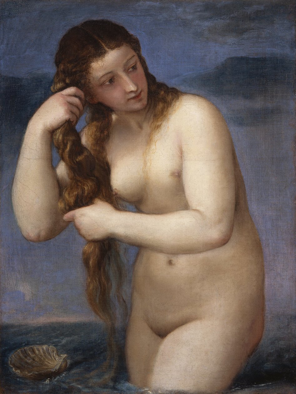 Vénus Anadyomène - Tiziano Vecelli
