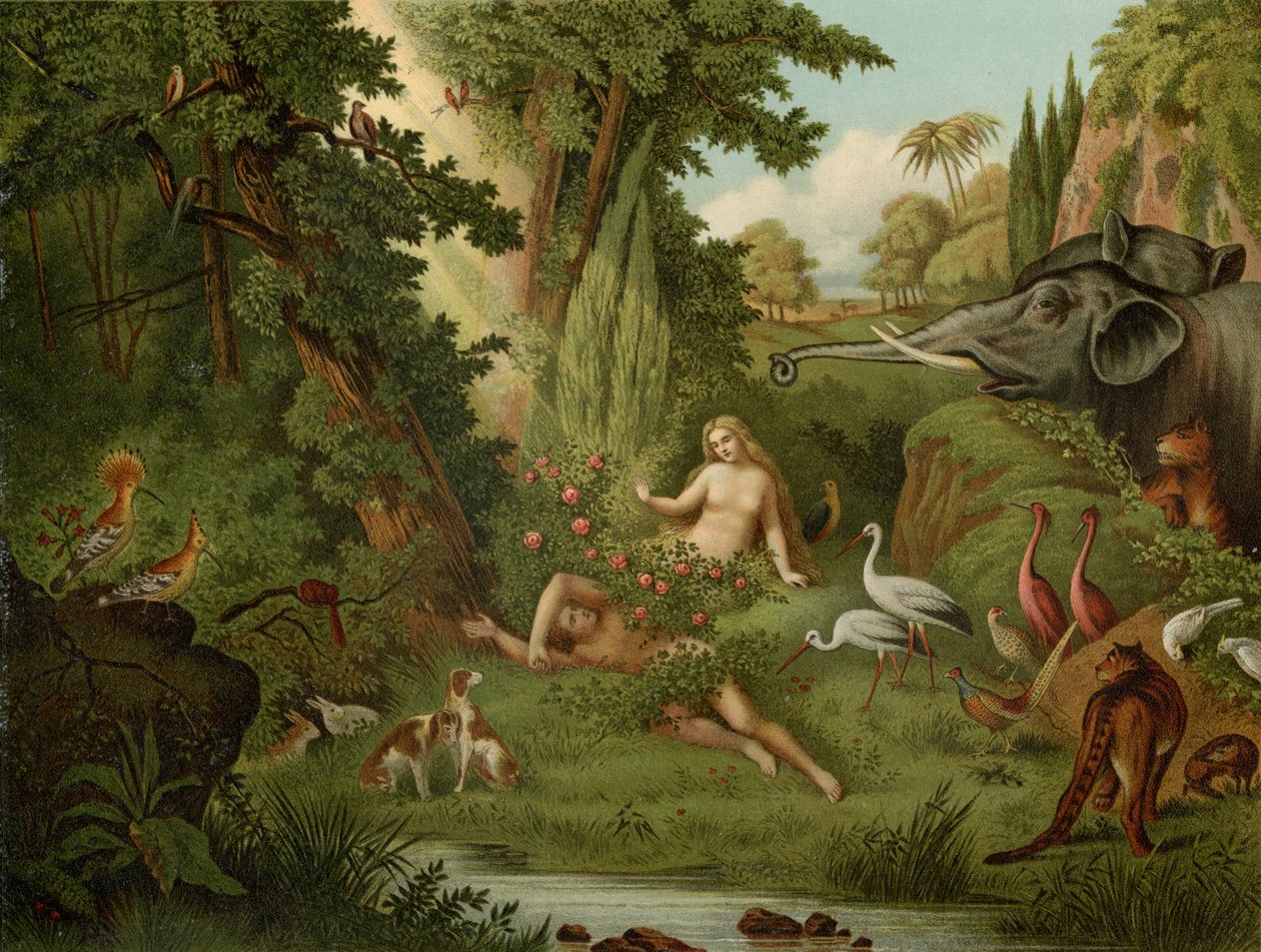 La Création d
