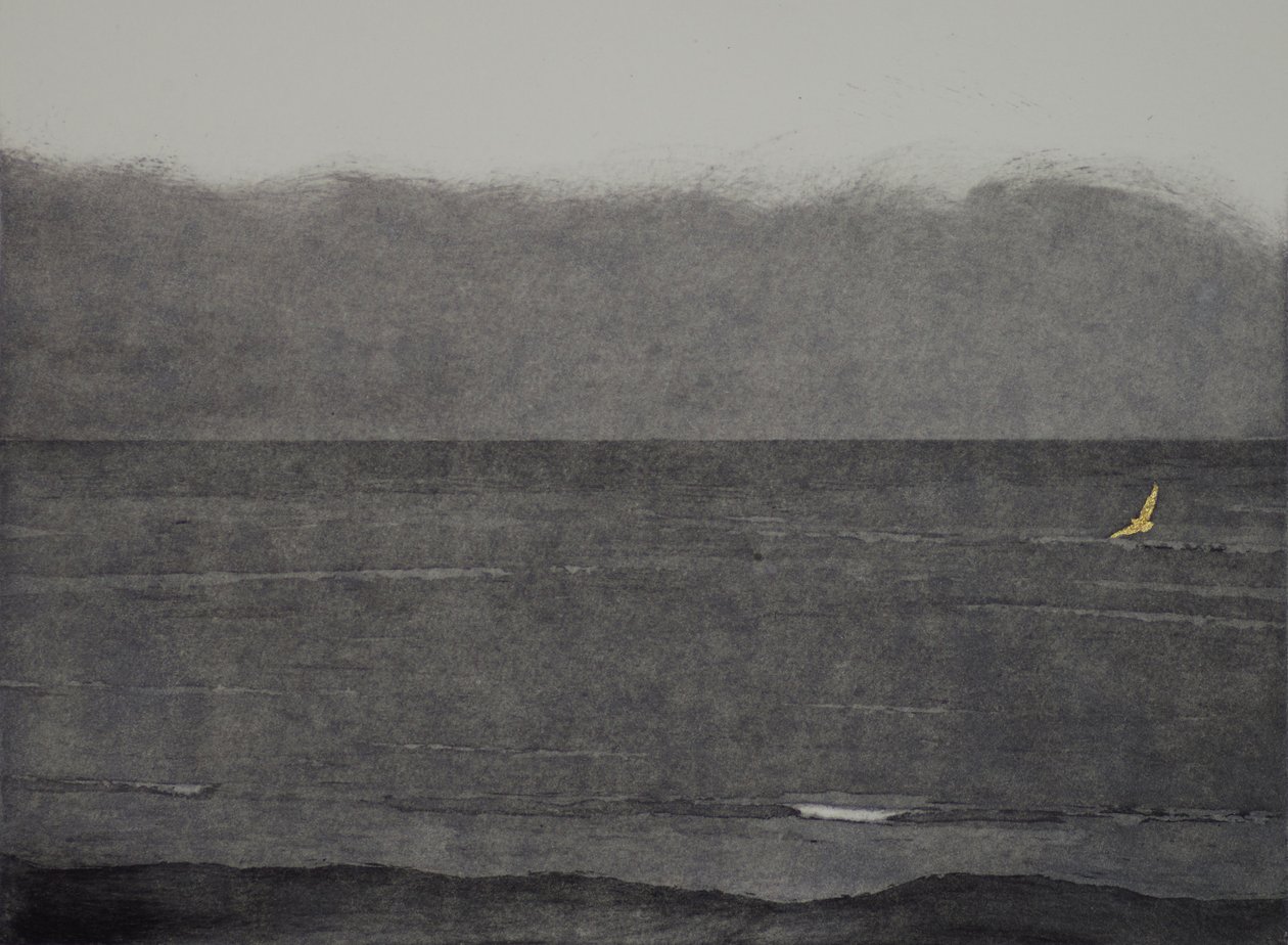 Vol silencieux - angus hampel