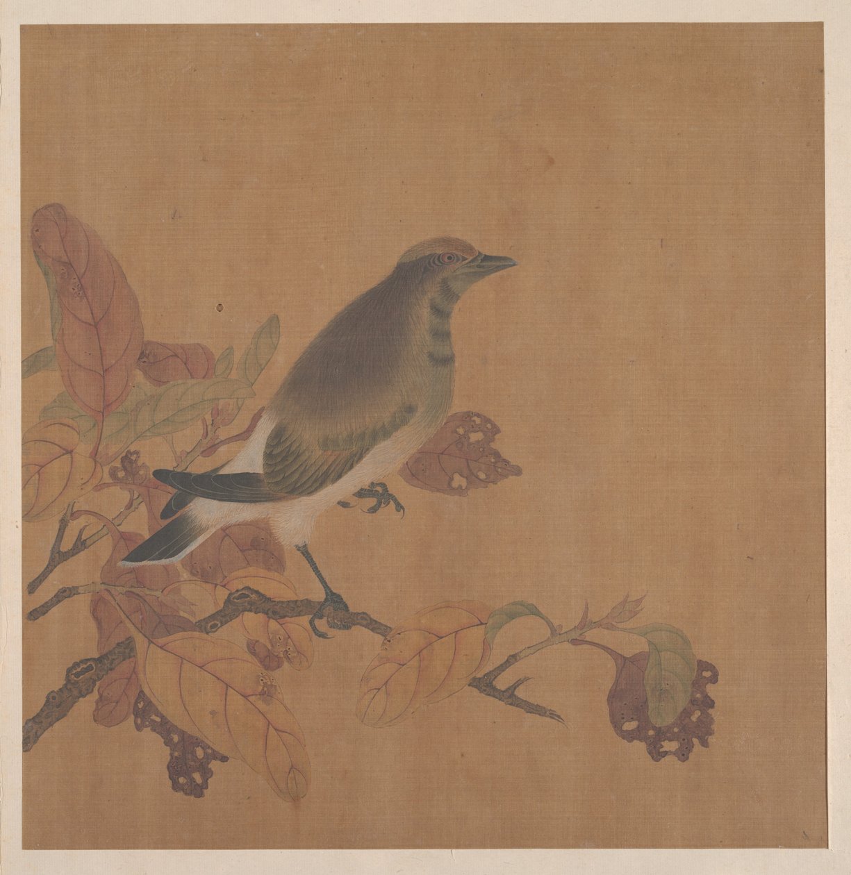 Oiseau sur une branche - anonymous 