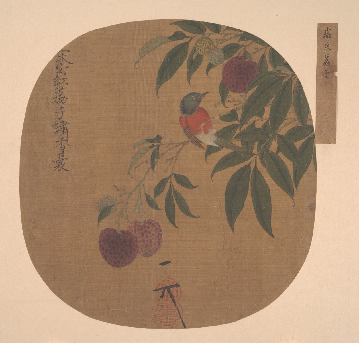 Oiseau sur une branche de litchi - anonymous 