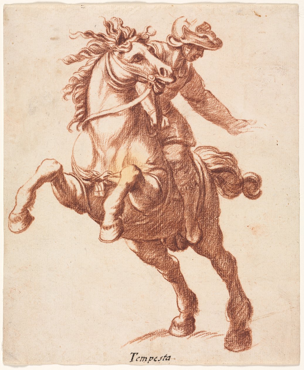 Cheval cabré et cavalier - attributed to Antonio Tempesta