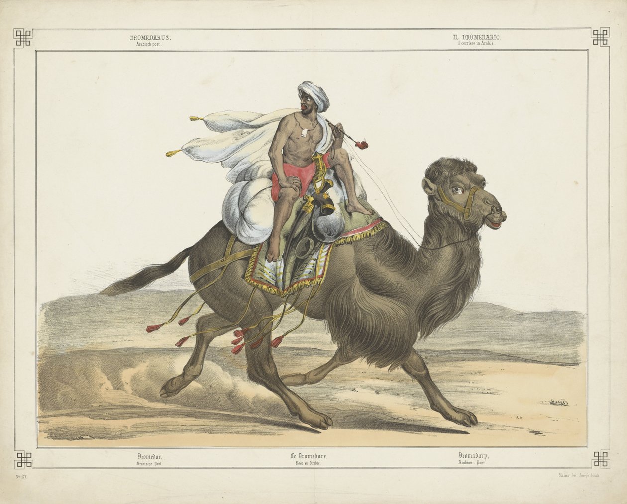 Dromadaire, poste arabe - firma Joseph Scholz