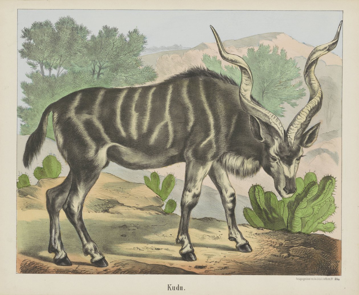Kudu - firma Joseph Scholz